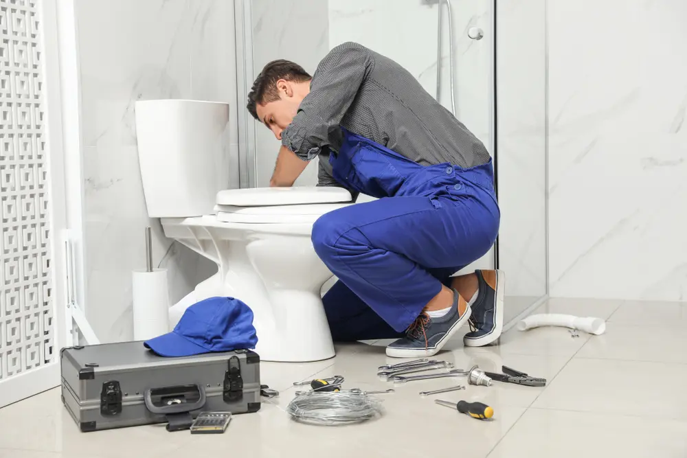 Toilet Installation in Fernando Salinas
